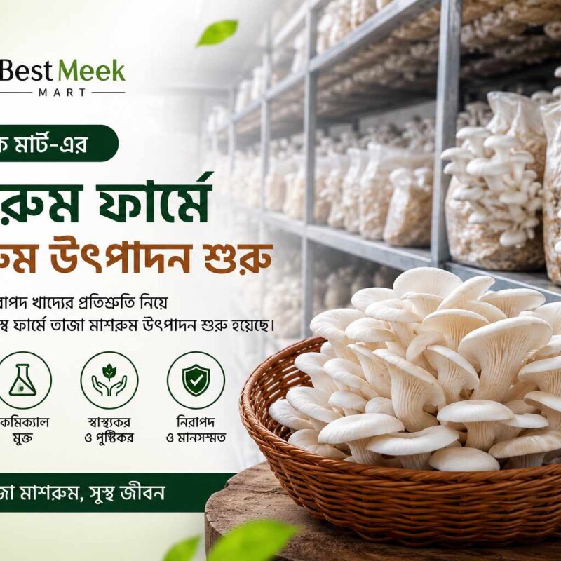 বেস্ট মিক মার্ট-এর মাশরুম ফার্মে মাশরুম উৎপাদন শুরু